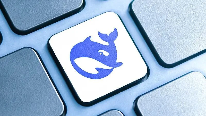 DeepSeek API 与网页入口